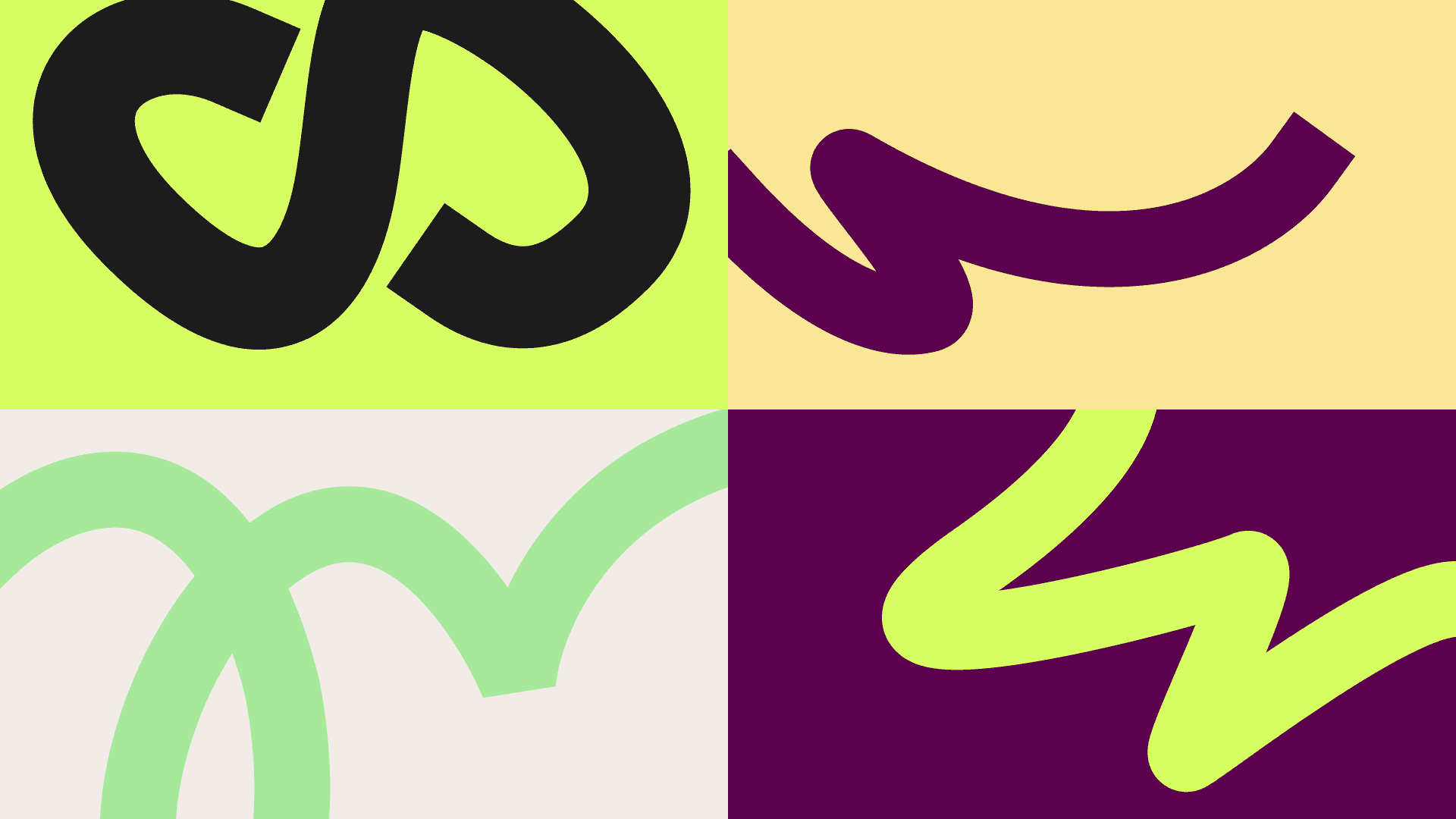 Exploration of our brand's colors and energy