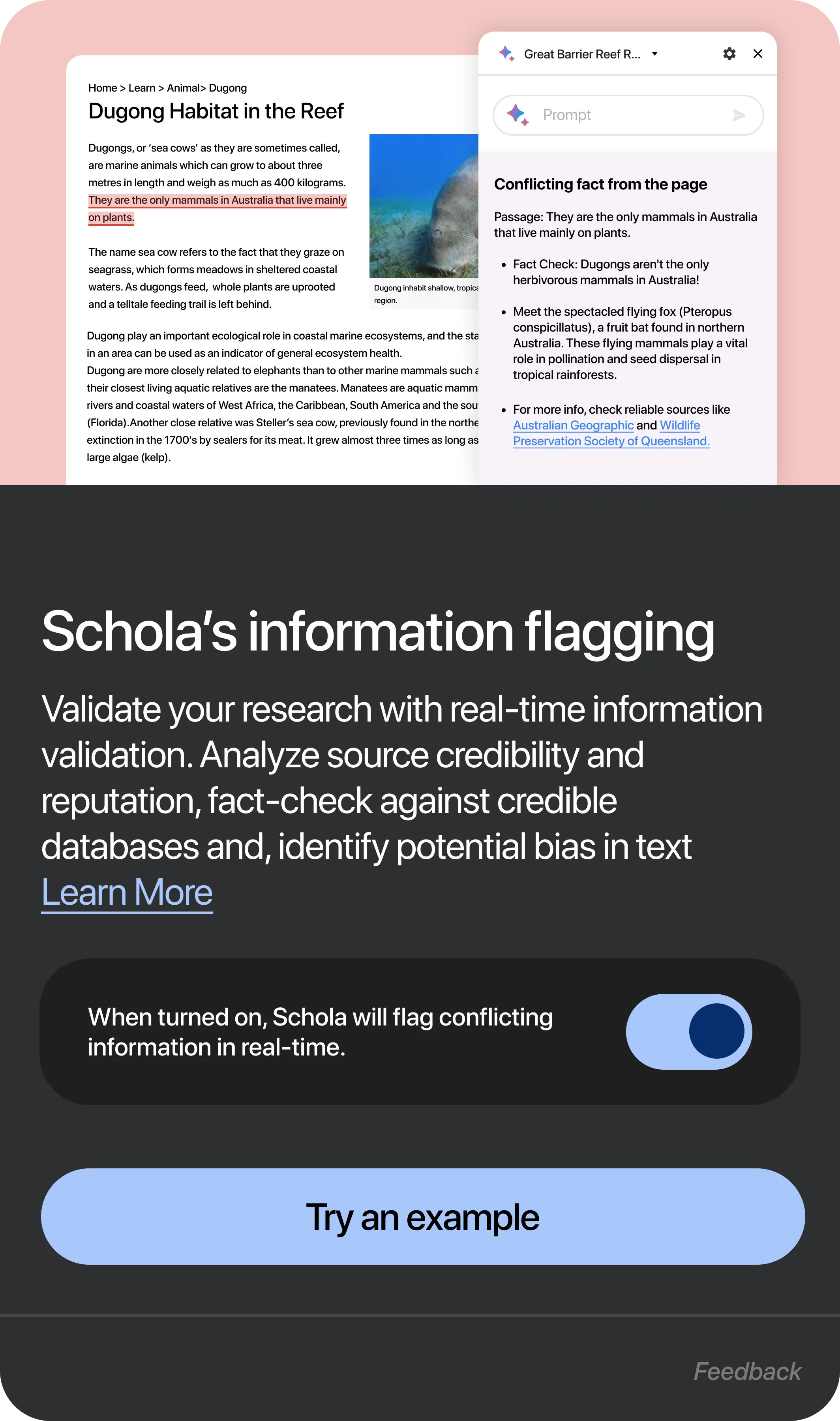 Real-Time Validation